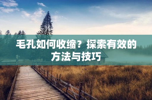 毛孔如何收缩?探索有效的方法与技巧 毛孔如何收缩?探索有效的方法与技巧