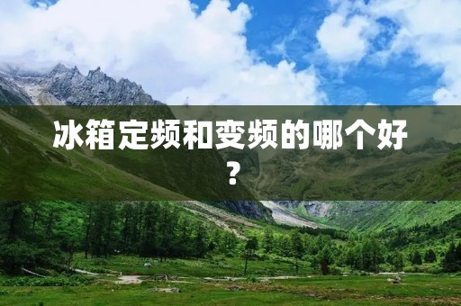 冰箱定频和变频的哪个好？