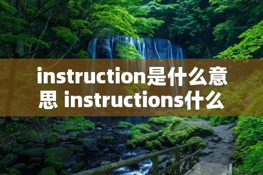 instruction是什么意思 instructions什么