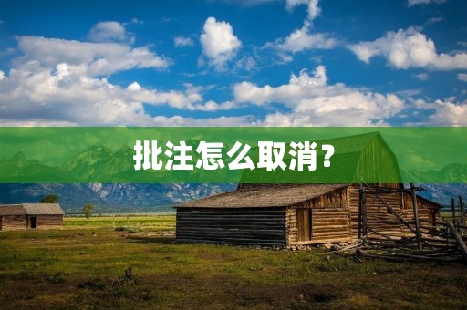 批注怎么取消? 批注怎么取消?