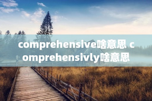 comprehensive啥意思 comprehensivly啥意思