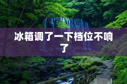 冰箱调了一下档位不响了:详细解析 冰箱调了一下档位不响了:详细解析
