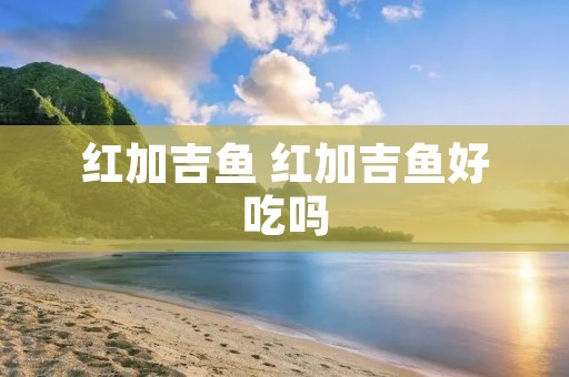 红加吉鱼 红加吉鱼好吃吗