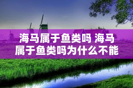 海马属于鱼类吗 海马属于鱼类吗为什么不能吃