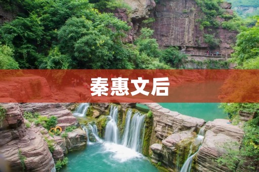 秦惠文后:政治革新与社会发展的转折点