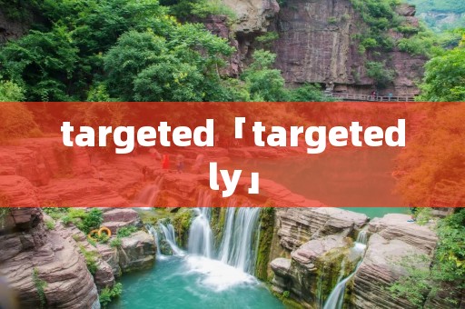 targeted「targetedly」