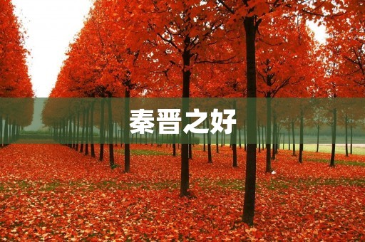 秦晋之好:两国友谊的历久弥新