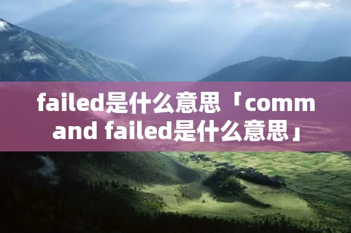 failed是什么意思「command failed是什么意思」