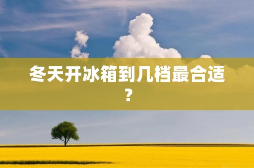 冬天开冰箱到几档最合适？