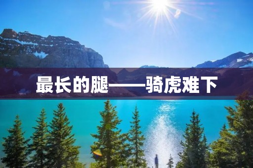 最长的腿——骑虎难下