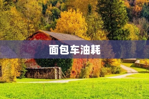 面包车油耗:如何优化燃油效率 面包车油耗:如何优化燃油效率