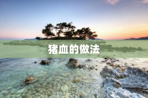 猪血的做法：传统美食的独特魅力