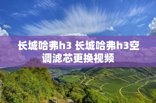 长城哈弗h3 长城哈弗h3空调滤芯更换视频