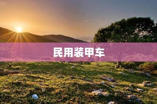 民用装甲车:保障安全,满足多样需求 民用装甲车:保障安全,满足多样需求