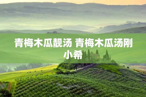 青梅木瓜靓汤 青梅木瓜汤刚小希