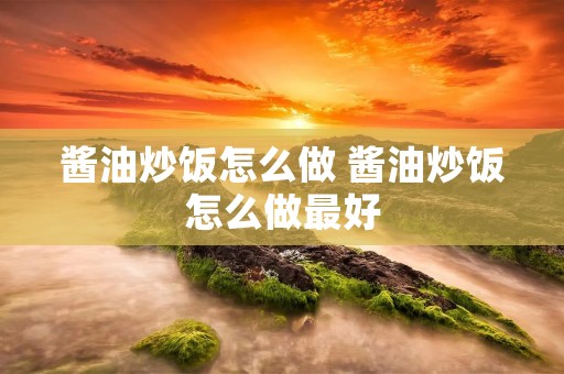酱油炒饭怎么做 酱油炒饭怎么做最好 酱油炒饭怎么做 酱油炒饭怎么做最好