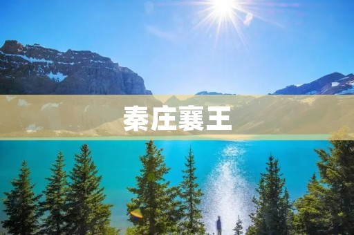 秦庄襄王:辉煌与衰落