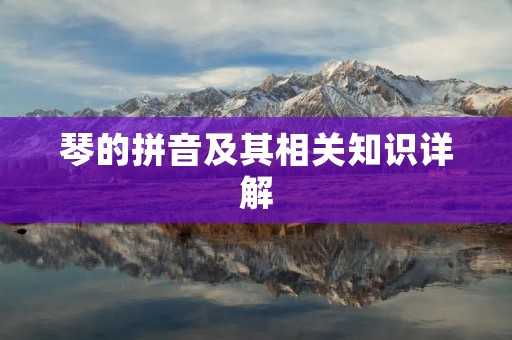 琴的拼音及其相关知识详解