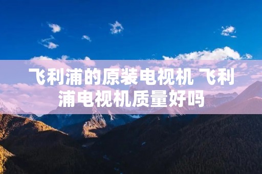 飞利浦的原装电视机 飞利浦电视机质量好吗 飞利浦的原装电视机 飞利浦电视机质量好吗