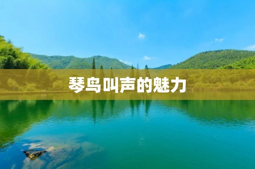 琴鸟叫声的魅力:探秘琴鸟优美婉转的歌声