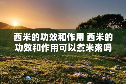 西米的功效和作用 西米的功效和作用可以煮米粥吗
