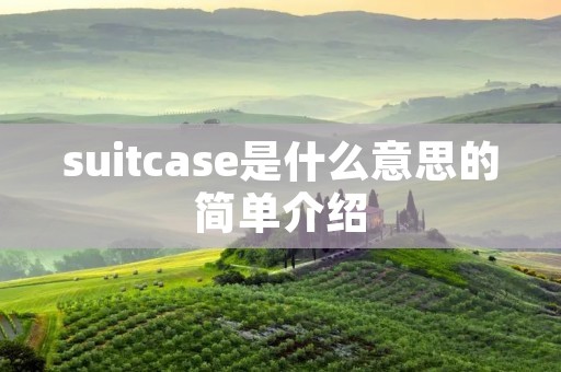 suitcase是什么意思的简单介绍 suitcase是什么意思的简单介绍