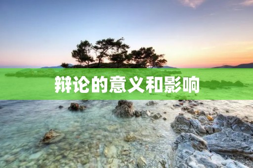 辩论的意义和影响 辩论的意义和影响