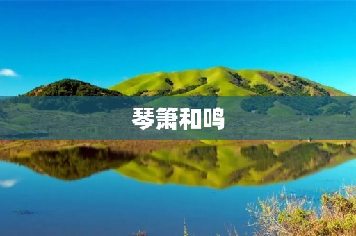 琴箫和鸣:音乐的和谐之旅