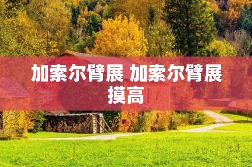 加索尔臂展 加索尔臂展摸高