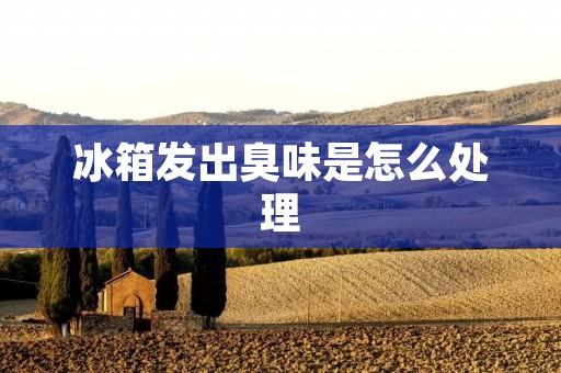 冰箱发出臭味是怎么处理