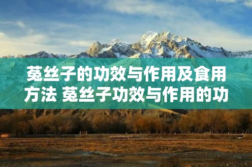 菟丝子的功效与作用及食用方法 菟丝子功效与作用的功效和作用是什么