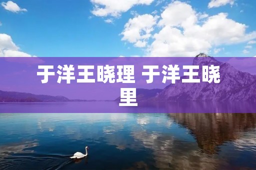 于洋王晓理 于洋王晓里