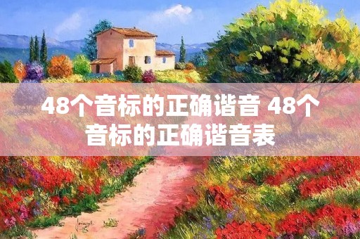 48个音标的正确谐音 48个音标的正确谐音表