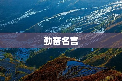 勤奋名言:坚持努力,成就辉煌