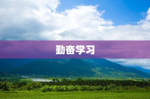 勤奋学习:培养成功的关键