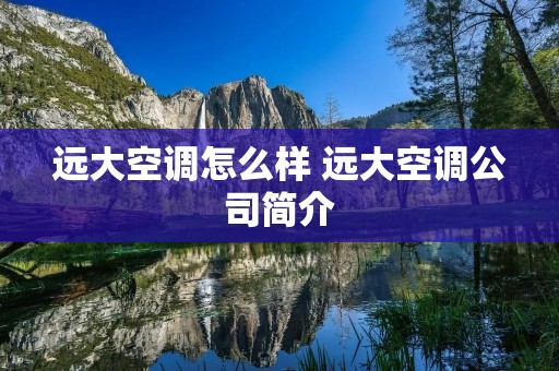 远大空调怎么样 远大空调公司简介
