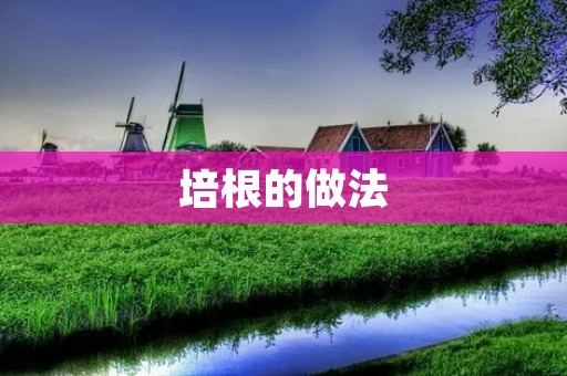 培根的做法:美味佳肴的秘诀 培根的做法:美味佳肴的秘诀