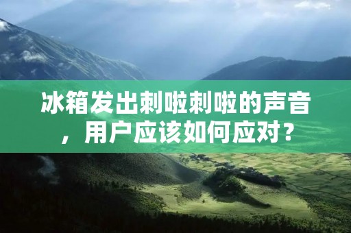 冰箱发出刺啦刺啦的声音,用户应该如何应对? 冰箱发出刺啦刺啦的声音,用户应该如何应对?