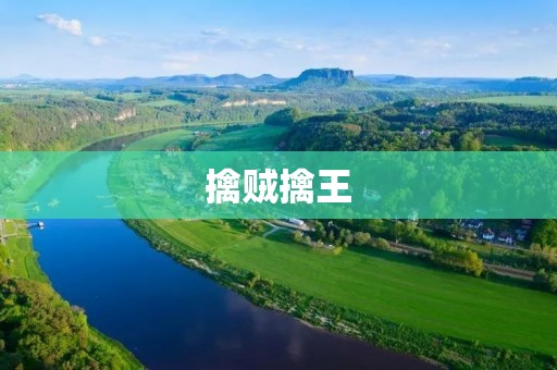 擒贼擒王：破案无畏的勇者