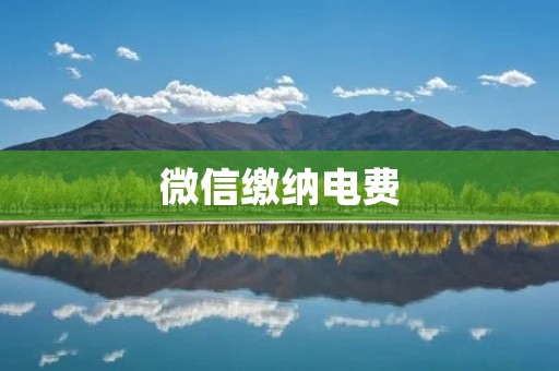 微信缴纳电费:便捷快速的生活方式