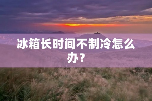 冰箱长时间不制冷怎么办? 冰箱长时间不制冷怎么办?