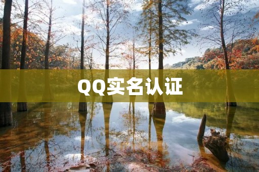 QQ实名认证:保障网络安全的重要一步