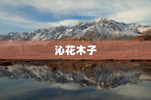 沁花木子：一场心灵的盛宴