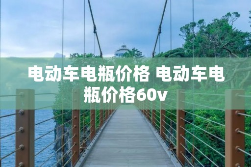 电动车电瓶价格 电动车电瓶价格60v 电动车电瓶价格 电动车电瓶价格60v