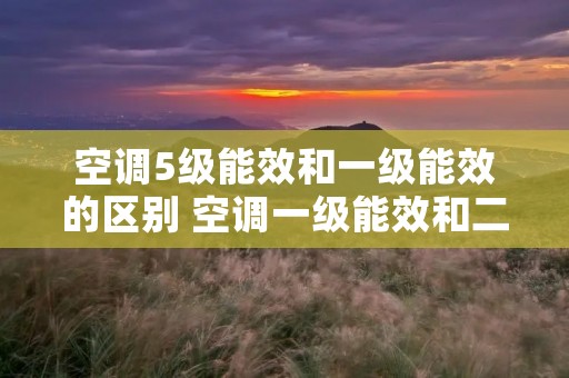 空调5级能效和一级能效的区别 空调一级能效和二级能效哪个好