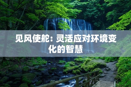 见风使舵: 灵活应对环境变化的智慧