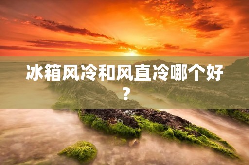 冰箱风冷和风直冷哪个好？