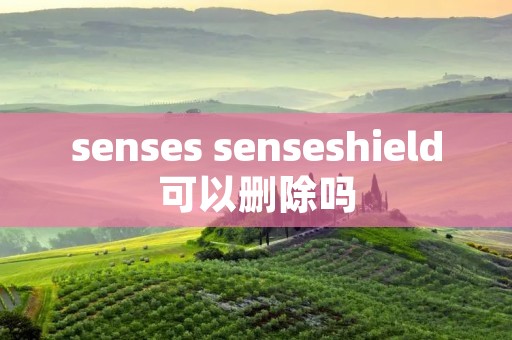 senses senseshield可以删除吗
