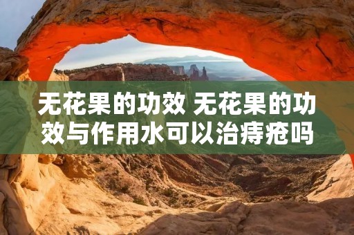 无花果的功效 无花果的功效与作用水可以治痔疮吗