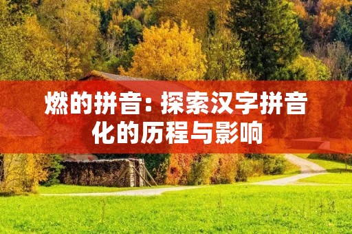 燃的拼音: 探索汉字拼音化的历程与影响